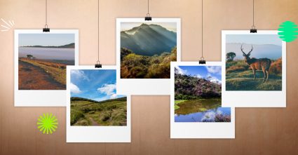 Horton Plains
