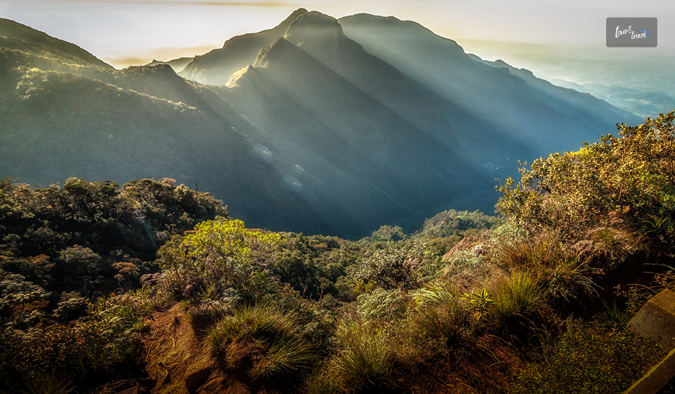 Horton Plains National Park: Why Is Walking To The Edge of Sri Lanka Worth The 3 AM Alarm?