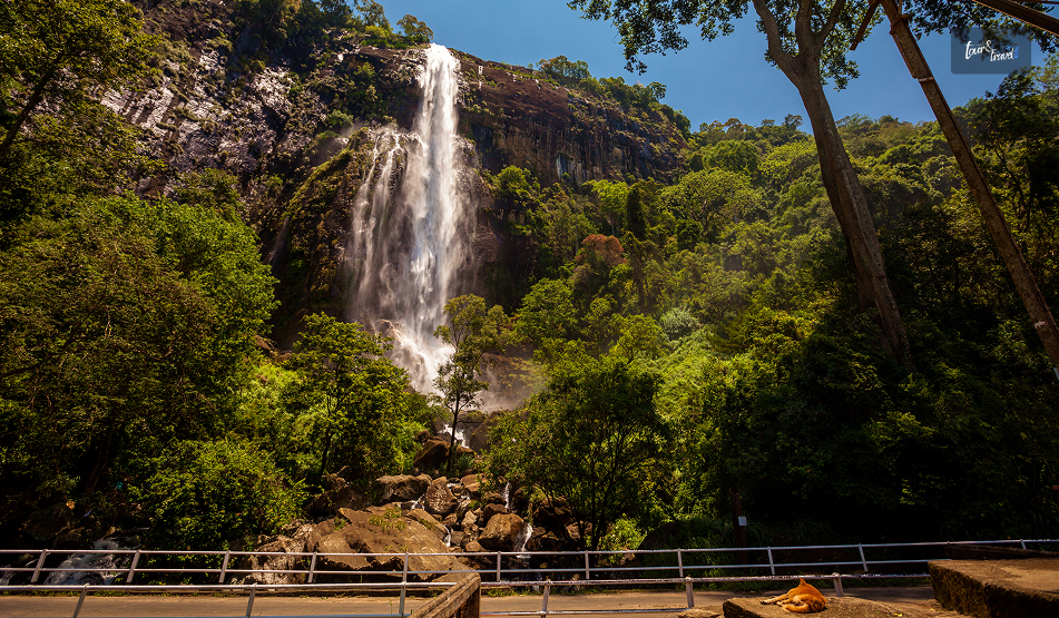 Bambarakanda Falls: A Trek To The Tallest Waterfall In Sri Lanka, Location And Everything You Must Know