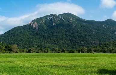 Knuckles Mountain Range