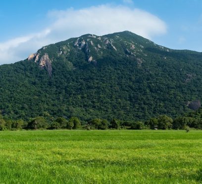 Knuckles Mountain Range