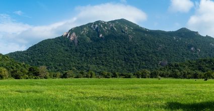 Knuckles Mountain Range