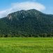 Knuckles Mountain Range