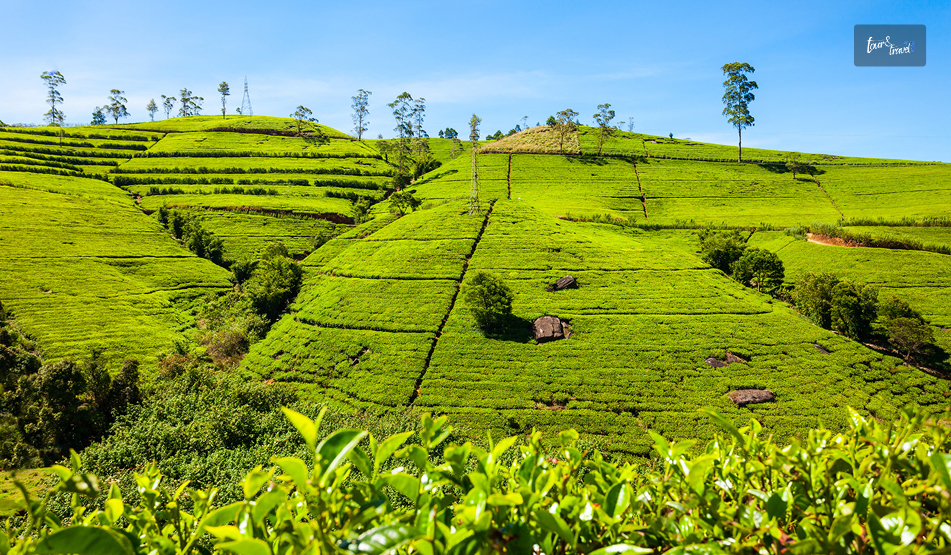 Adam’s Peak (Sri Pada): Climbing Sri Lanka’s Sacred Mountain