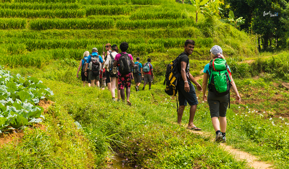 Knuckles Mountain Range Sri Lanka: A Guide To The Wildest Central Highlands Of Sri Lanka