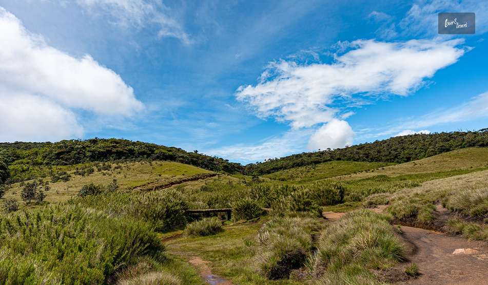 Horton Plains National Park: Why Is Walking To The Edge of Sri Lanka Worth The 3 AM Alarm?