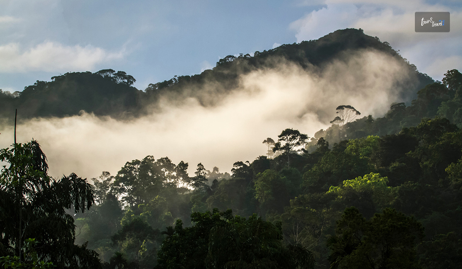 Sinharaja Forest Reserve: Inside Sri Lanka&rsquo;s Last Rainforest