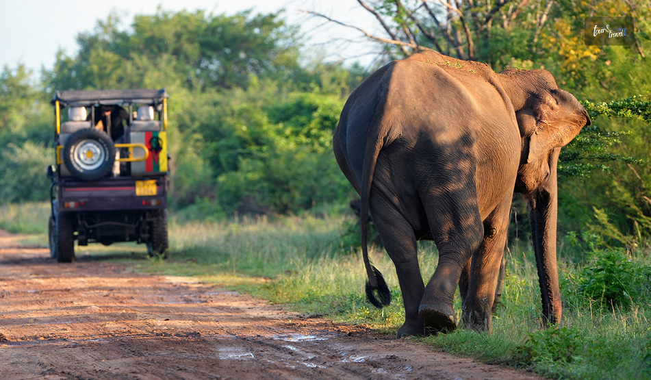 Maduru Oya National Park: A Quiet Corner Of Wild Sri Lanka