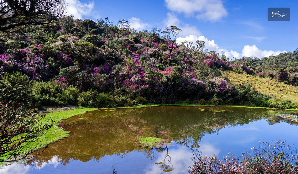 Horton Plains National Park: Why Is Walking To The Edge of Sri Lanka Worth The 3 AM Alarm?