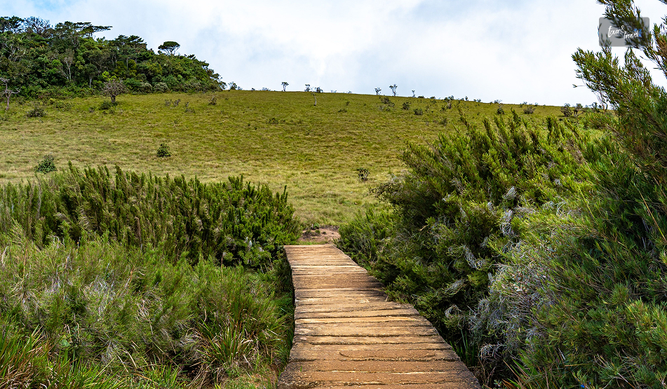 Horton Plains National Park: Why Is Walking To The Edge of Sri Lanka Worth The 3 AM Alarm?