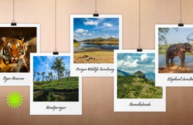 Thekkady Tourist Places