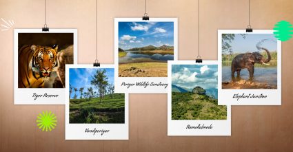 Thekkady Tourist Places