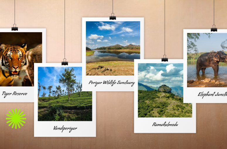 Thekkady Tourist Places