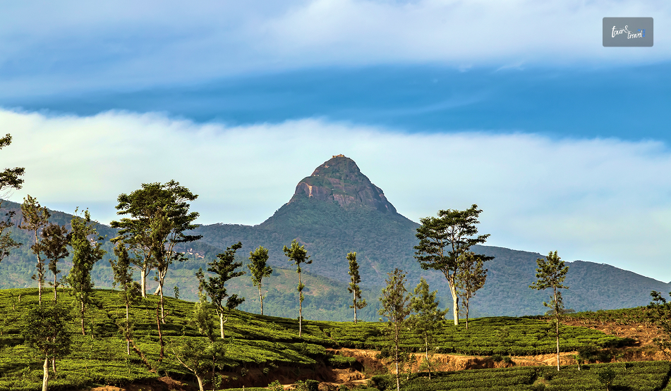 Adam’s Peak (Sri Pada): Climbing Sri Lanka’s Sacred Mountain