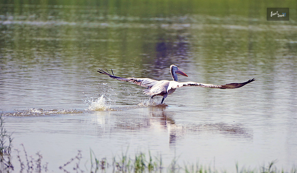 Maduru Oya National Park: A Quiet Corner Of Wild Sri Lanka