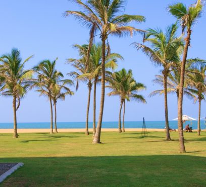 chilaw