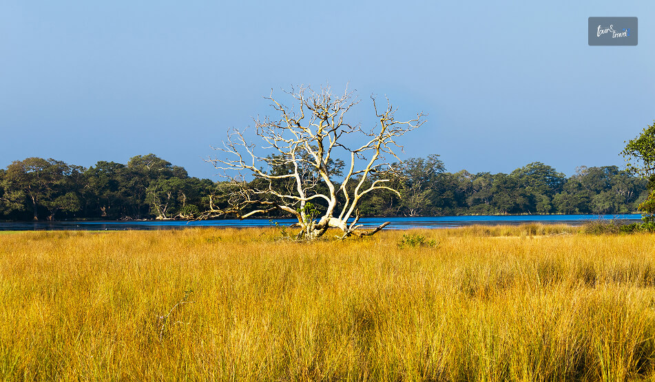 A Full-Day Wilpattu Itinerary