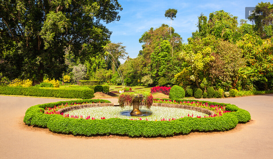 Best Time To Visit