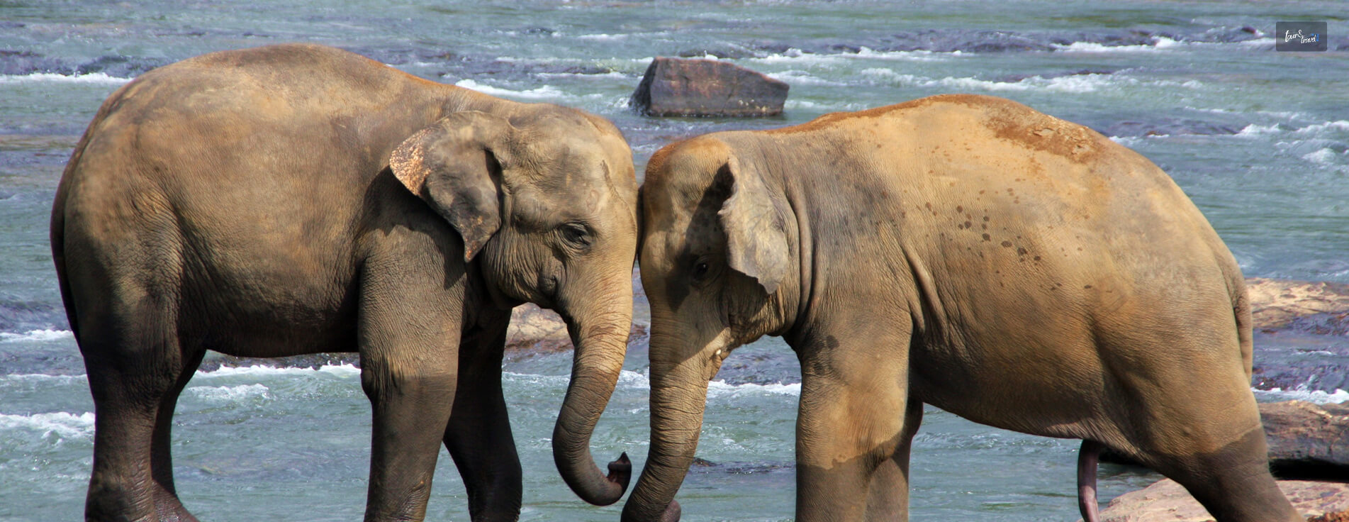 Gal Oya National Park