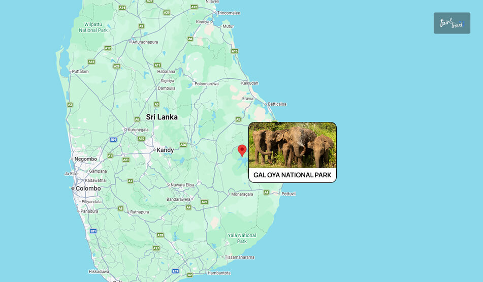 How To Reach Gal Oya National Park