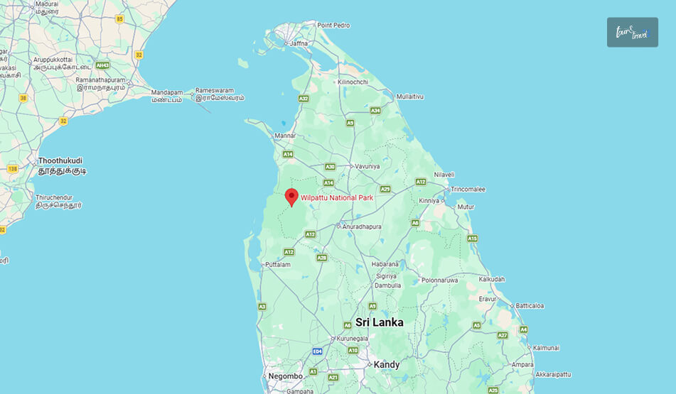 How To Reach Wilpattu National Park