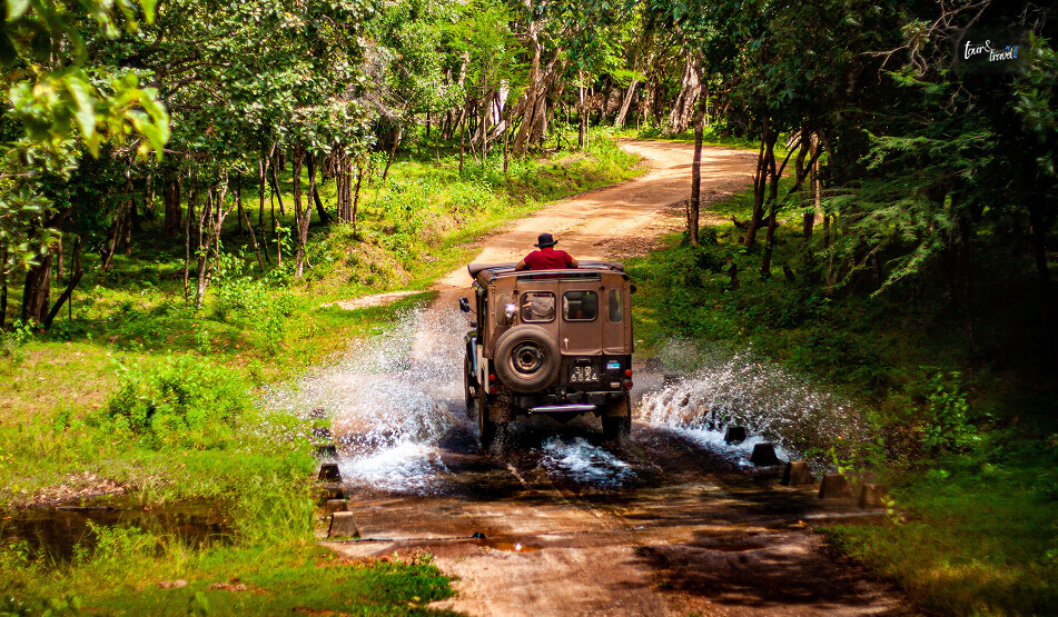 Inside The Park My Safari Experience