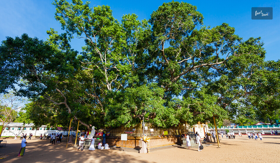 Inside The Sacred Precinct What You Will Actually See