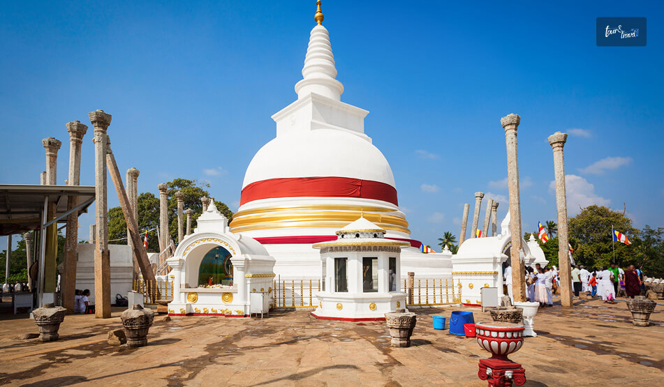 Latest Updates For 2026 Visitors