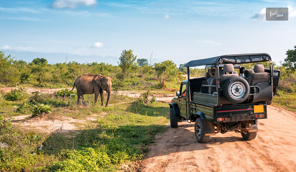 My Safari Experience At Lahugala National Park
