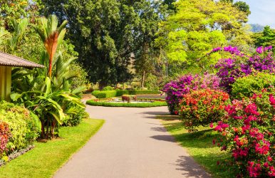 Peradeniya Botanical Garden