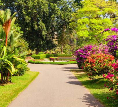 Peradeniya Botanical Garden