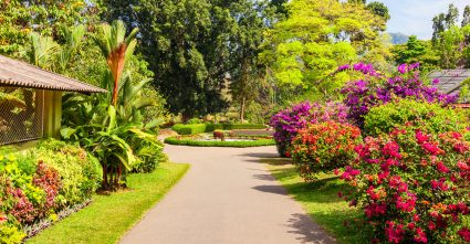 Peradeniya Botanical Garden