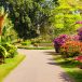 Peradeniya Botanical Garden
