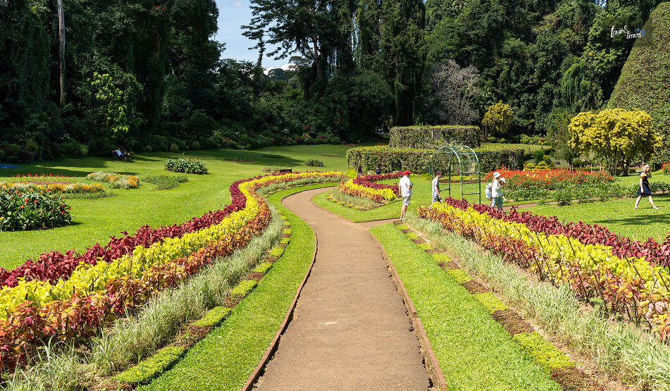 What I Found Walking Through The Gardens
