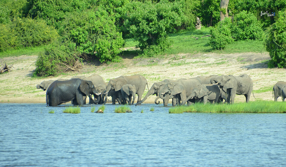 What Is The Best Time To Visit Lahugala National Park