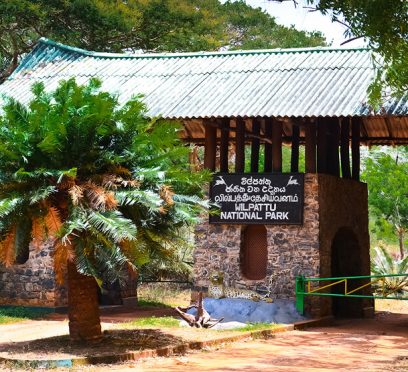 Wilpattu National Park