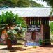 Wilpattu National Park