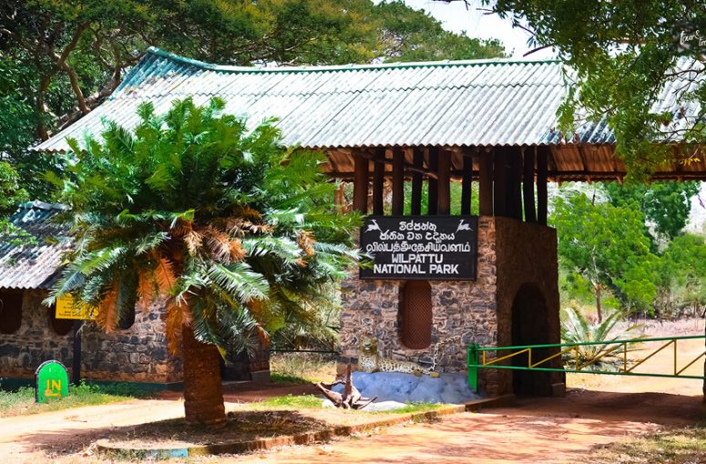 Wilpattu National Park