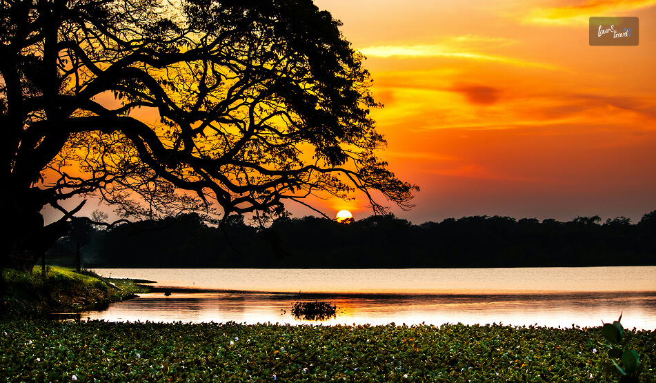 Wilpattu National Park At A Glance