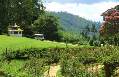 haggala flower garden