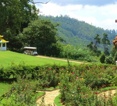 haggala flower garden