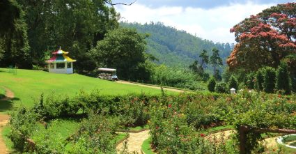 haggala flower garden