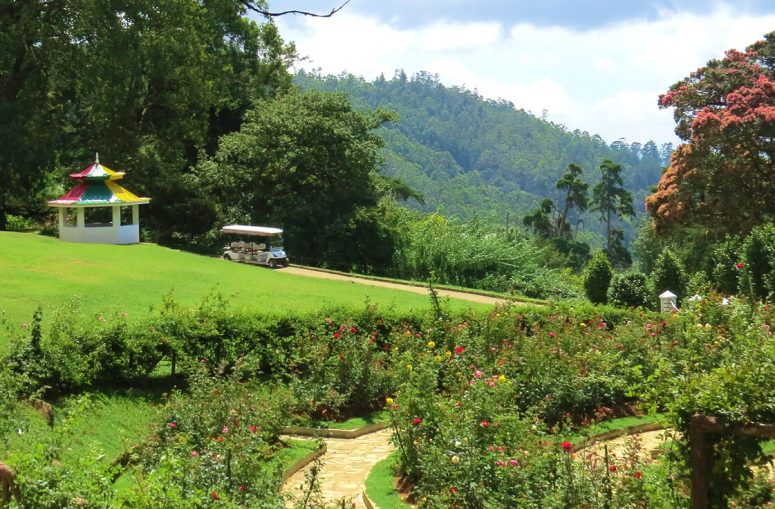 haggala flower garden